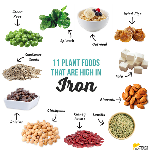 iron from plant-based sources
