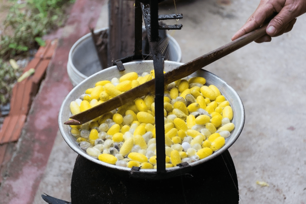 Silk worms getting boiled alive