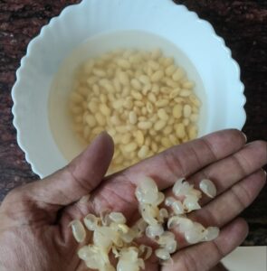 peels removed from soaked soybeans