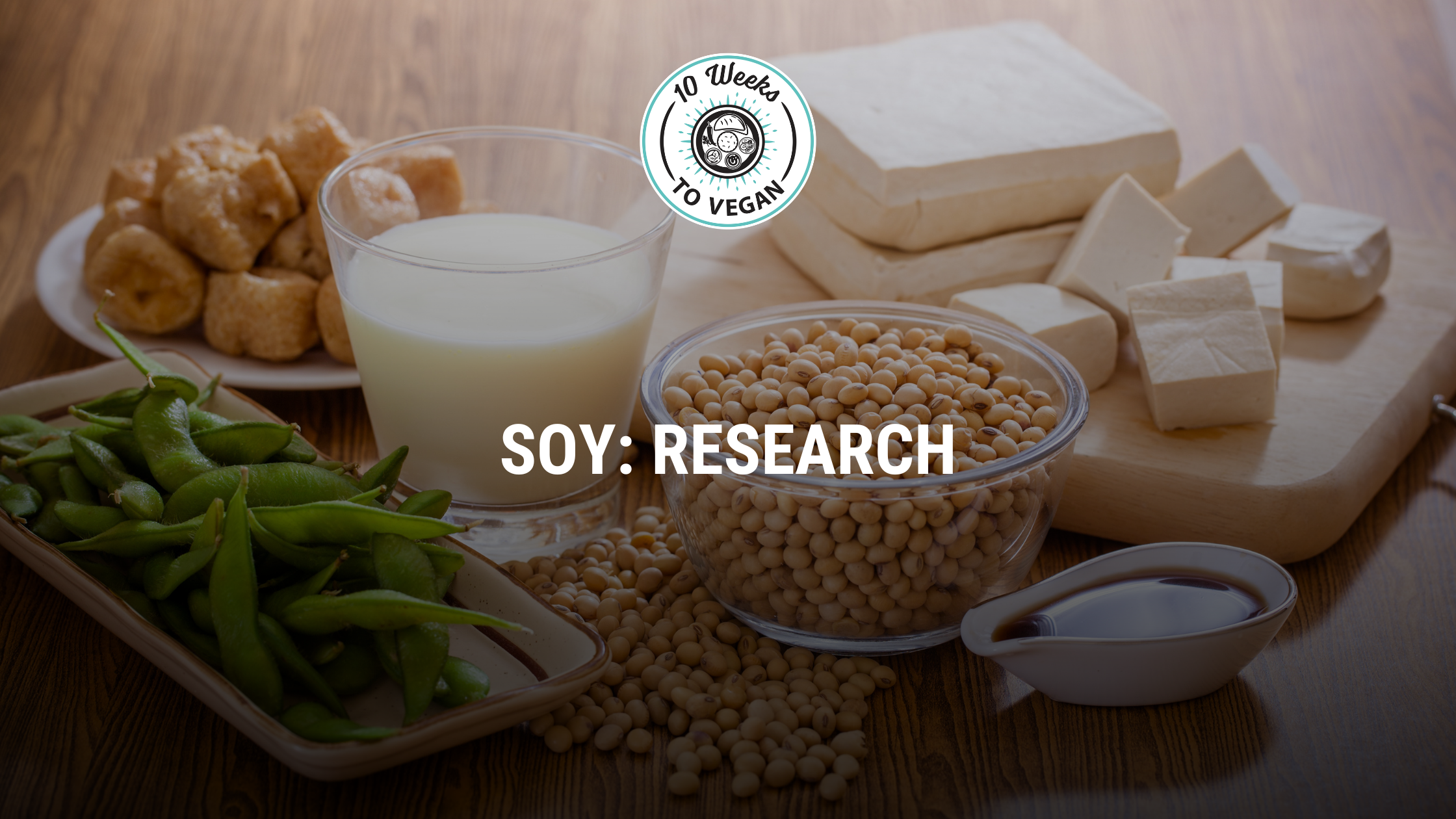 soy research banner image